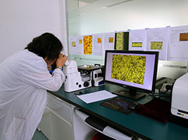 ���ƹ��ʡ�(�й���)�ٷ���վ